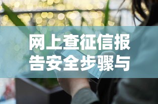 网上查征信报告安全步骤与操作指南