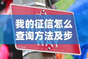 我的征信怎么查询方法及步骤详解