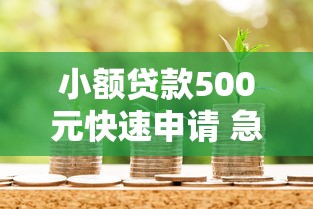 小额贷款500元快速申请 急用钱当天到账免抵押