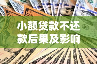 小额贷款不还款后果及影响安全须知解析