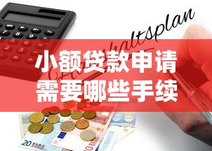 小额贷款申请需要哪些手续及流程指南