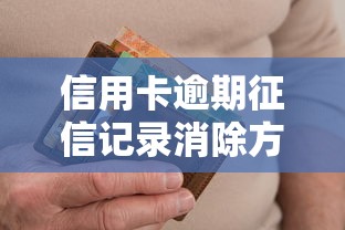 度小满人工审核通过率解析 度小满借钱审核标准揭秘
