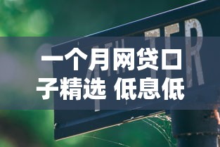 一个月网贷口子精选 低息低门槛快速申请指南
