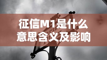 征信M1是什么意思含义及影响解析