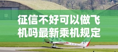 征信不好可以做飞机吗最新乘机规定解析 征信不好可以做飞机吗最新乘机规定解析