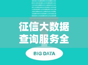 征信大数据查询服务全面解析与指南