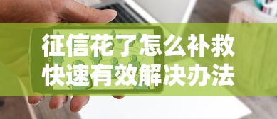 哈市不看征信无抵押贷款？公布5个京东贷款平台