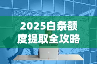 2025白条额度提取全攻略｜合规操作与理财技巧