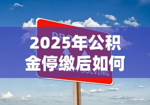 2025年公积金停缴后如何申请贷款？五大替代方案全解析