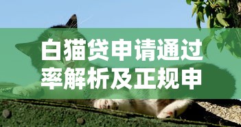 2025年不用开通会员的贷款平台推荐：低息正规渠道盘点