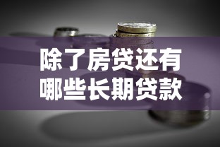 除了房贷还有哪些长期贷款？贷款理财全解析