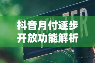 抖音月付逐步开放功能解析与贷款理财使用指南