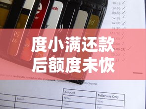 度小满还款后额度未恢复？常见原因及解决办法解析