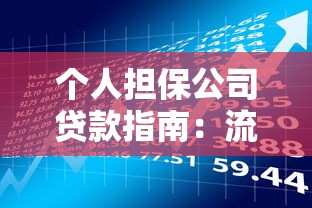 个人担保公司贷款指南:流程、风险与理财规划 个人担保公司贷款指南:流程、风险与理财规划