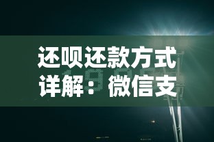 还呗还款方式详解：微信支付是否支持及贷款理财技巧