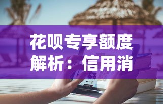 花呗专享额度解析：信用消费与理财规划的深度解读