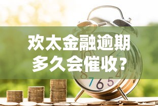 省呗总融担费解析:贷款理财必知的费用明细与优化技巧 省呗总融担费解析:贷款理财必知的费用明细与优化技巧