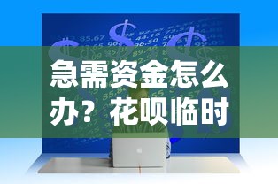 急需资金怎么办？花呗临时额度申请攻略及使用技巧