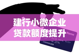 建行小微企业贷款额度提升技巧：贷款理财核心策略解析