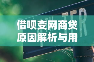 借呗变网商贷原因解析与用户应对指南