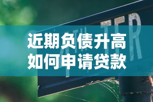 近期负债升高如何申请贷款？五大实用攻略帮你解决难题！
