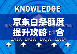 京东白条额度提升攻略：合理使用快速涨额技巧