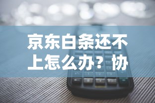 京东白条还不上怎么办？协商还款全攻略