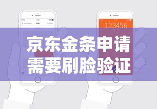 京东金条申请需要刷脸验证吗?全面解析贷款流程与注意事项 京东金条申请需要刷脸验证吗?全面解析贷款流程与注意事项