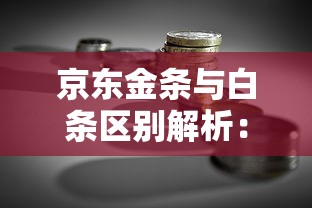 京东金条与白条区别解析：贷款理财如何选？