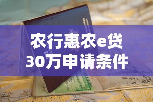 农行惠农e贷30万申请条件及贷款理财指南
