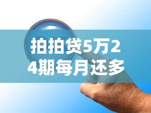 拍拍贷5万24期每月还多少？详细计算与还款攻略