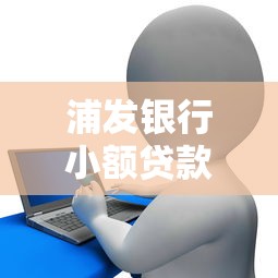 浦发银行小额贷款申请指南：流程、条件及注意事项