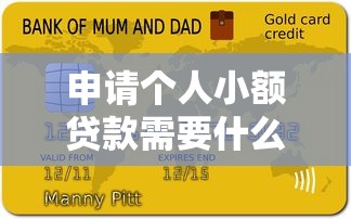 申请个人小额贷款需要什么材料？2023年最新材料清单+避坑指南
