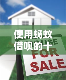 使用蚂蚁借呗的十大注意事项及贷款理财建议