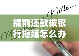 微博借钱提前还款全攻略：流程、注意事项及常见问题解析