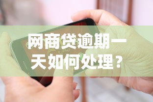 网商贷逾期一天如何处理？补救措施与影响全解析