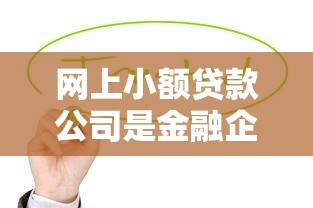网上小额贷款公司是金融企业吗?解析贷款理财中的关键角色 网上小额贷款公司是金融企业吗?解析贷款理财中的关键角色