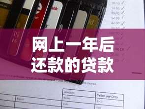 网上一年后还款的贷款类型及申请攻略