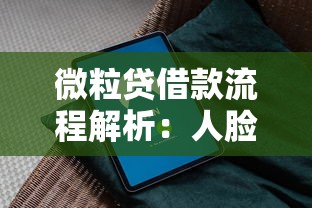 微粒贷借款流程解析：人脸识别是否必须及安全使用指南