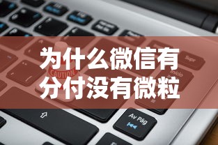 为什么微信有分付没有微粒贷？深度解析背后的产品逻辑与用户策略