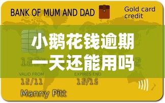 小鹅花钱逾期一天还能用吗？逾期影响及信用修复全解析
