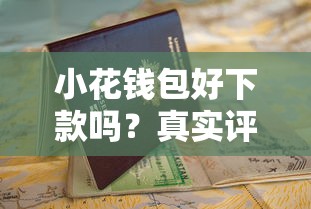 小花钱包好下款吗？真实评测+申请攻略，看完再决定！