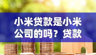 小米贷款是小米公司的吗？贷款理财用户必看分析