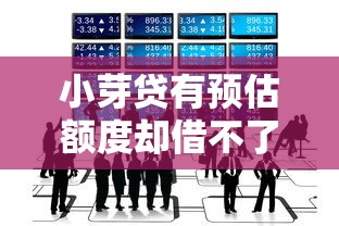 小芽贷有预估额度却借不了款？这5大原因一定要知道！