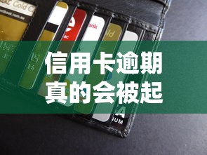 小花钱包借钱平台黑花户能百分百下款吗，试试这五个不算查询征信次数的平台