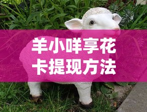 只用微信怎么可以借钱呢，看看这五个高利息贷款平台