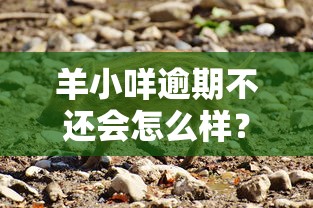 羊小咩逾期不还会怎么样？这些后果你必须提前了解