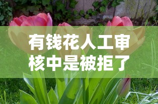 有钱花人工审核中是被拒了吗?5个关键点帮你理清审核真相 有钱花人工审核中是被拒了吗?5个关键点帮你理清审核真相