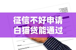 征信不好申请白猫贷能通过吗？解析审核条件与应对方法