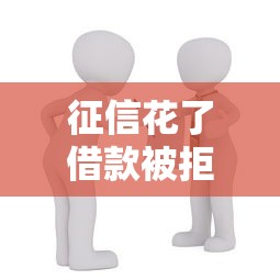 征信花了借款被拒怎么办？这些方法帮你解决贷款难题